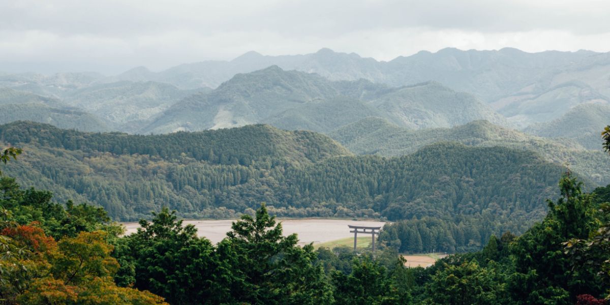 蘇りの道、世界遺産を語り部さんと歩く熊野古道ウォーク(和歌山県田辺