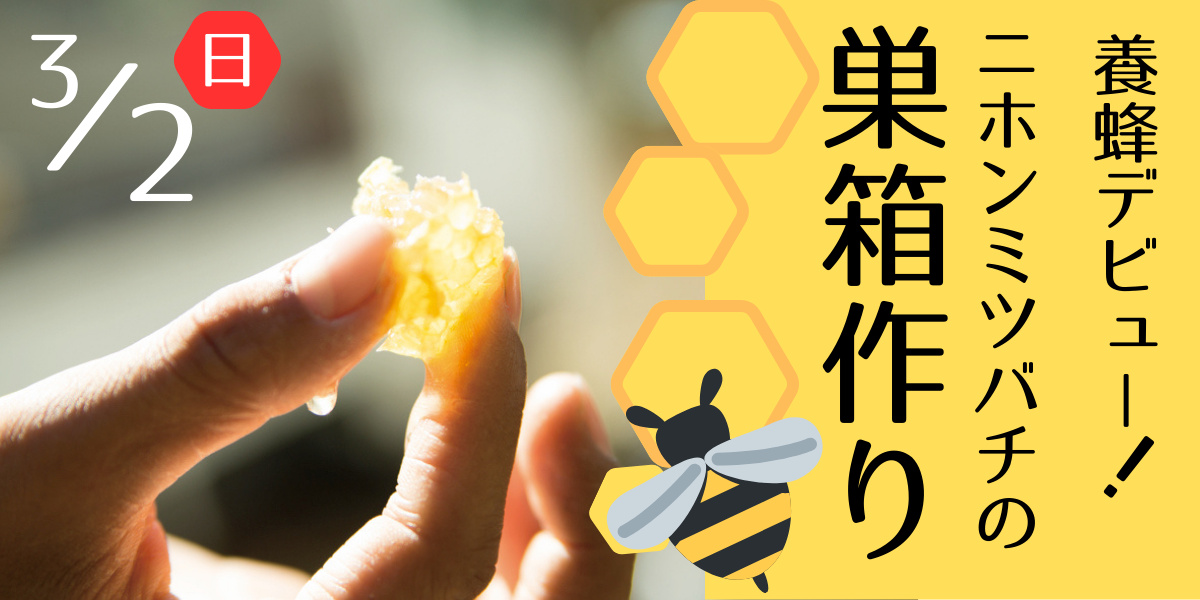 養蜂デビュー！ニホンミツバチの巣箱作りワークショップ(宮崎県椎葉村