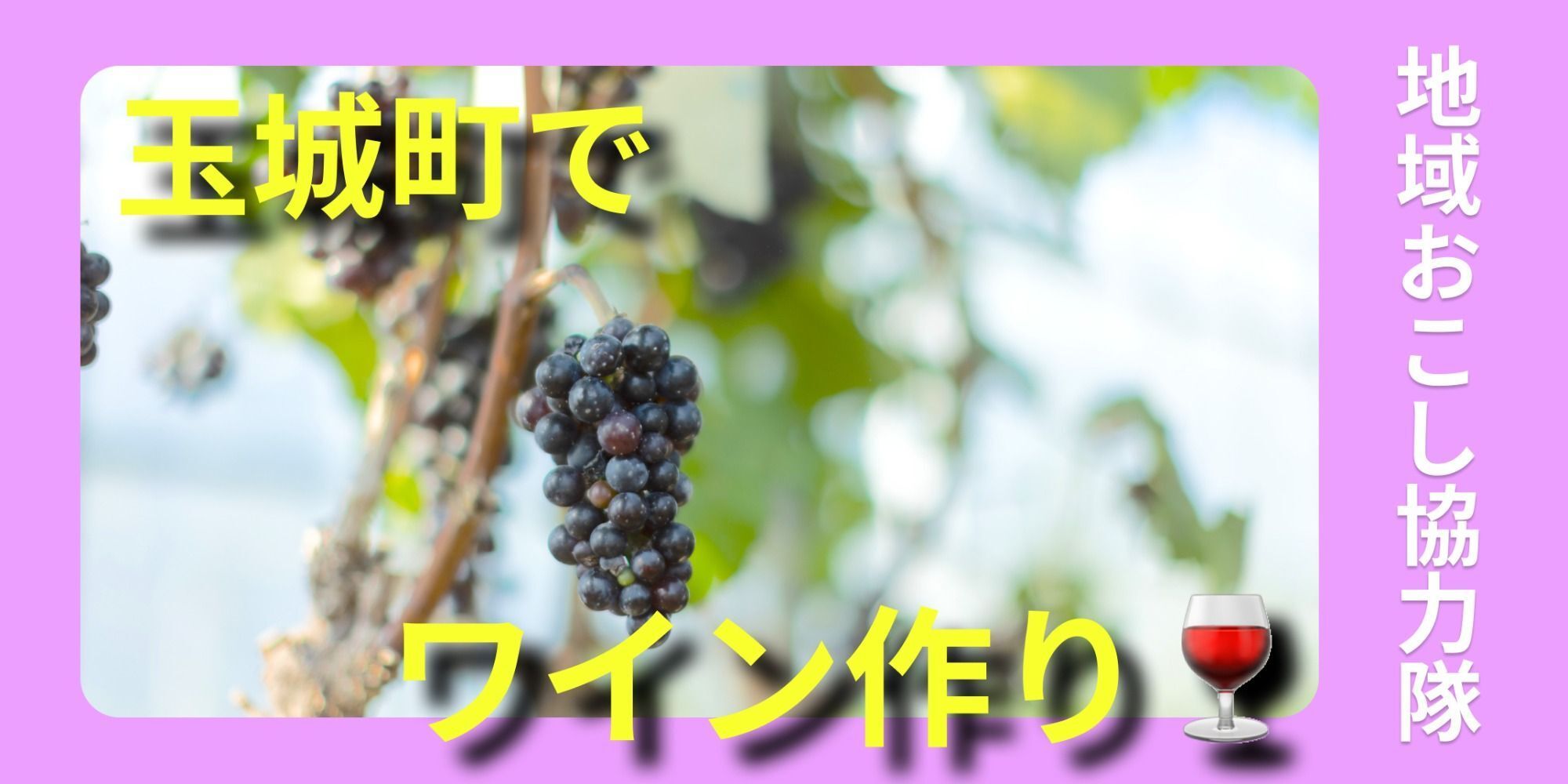 農業未経験OK！ぶどう栽培からはじめるあなただけのワインづくり【玉城