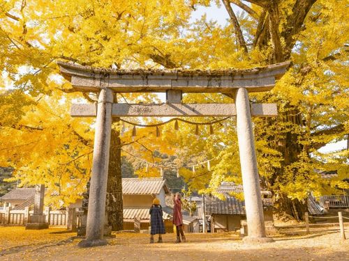 岩部八幡神社