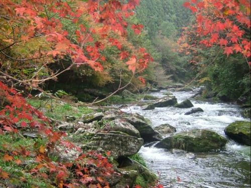 川のせせらぎとともに紅葉を楽しむ高瀬峡