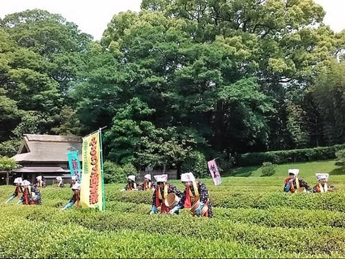 Society 5.0シティのイメージ：岡山後楽園の茶つみ祭