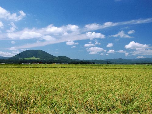 町のシンボル田園風景に薬莱山（やくらいさん）。