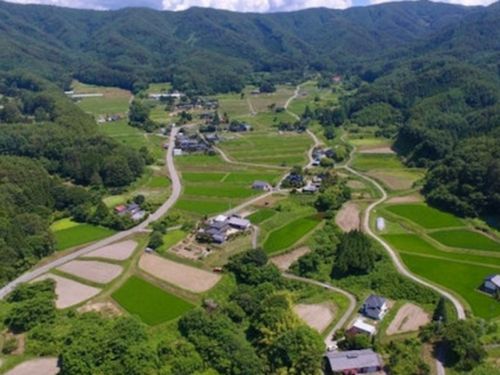 企業からのサポートを受けて、この豊かな森を里山を守っていきましょう