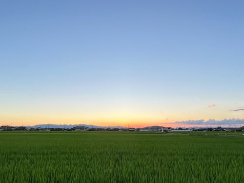 春の農地