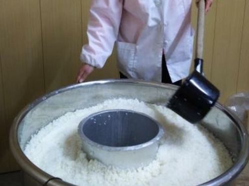 酒母（シュボ）づくりは、非常にデリケートな優良酵母の純粋培養の工程。