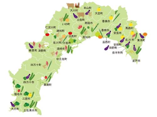 高知県全域で様々な作物を育てています