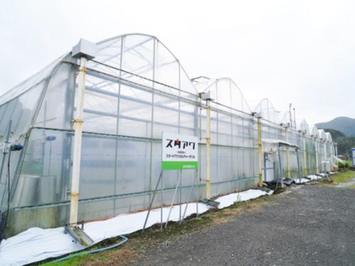 いちご栽培を学ぶハウスの様子（外観）