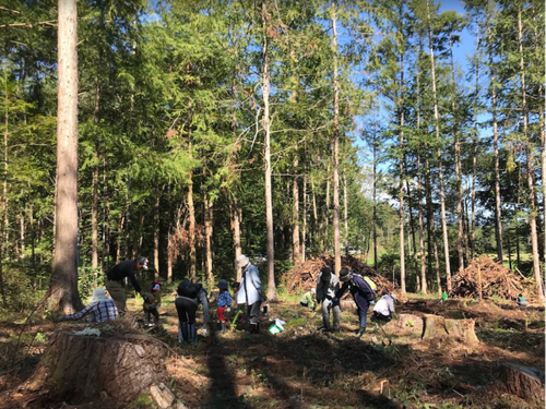 伊那市の面積の82％が森林🌳森での学びを加速させてください