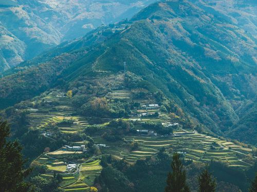 絶景「仙人の棚田」も耕作放棄地になる可能性が......