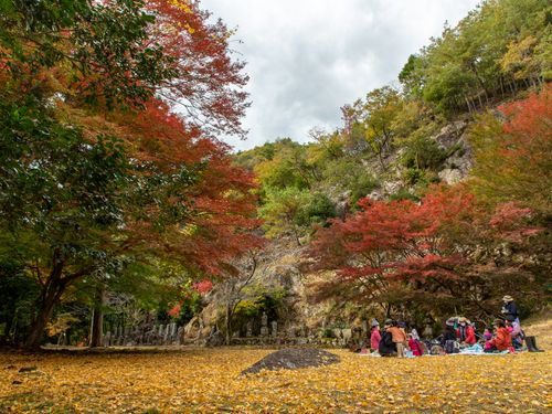 面積の80％が森林地帯の多可町