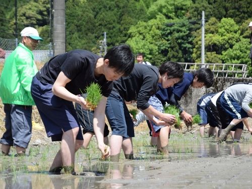圃場で農業と食を学びます。