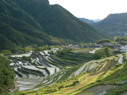 島の原風景　中山千枚田