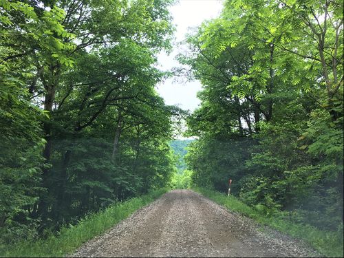 温泉に入る道。この砂利道が秘湯間を漂わせています