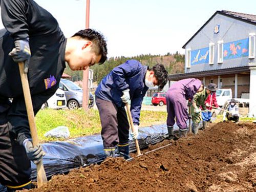 春先の畝づくり。学校の敷地内にも畑があります。