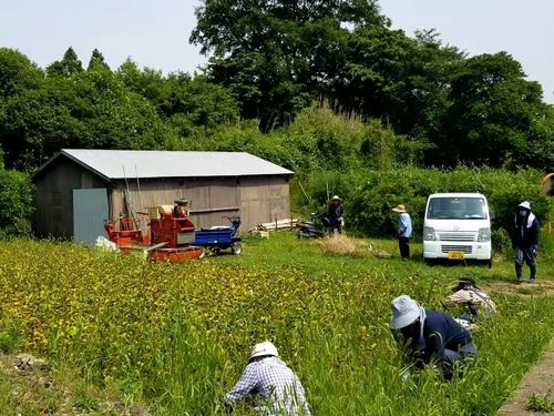 農作業の様子