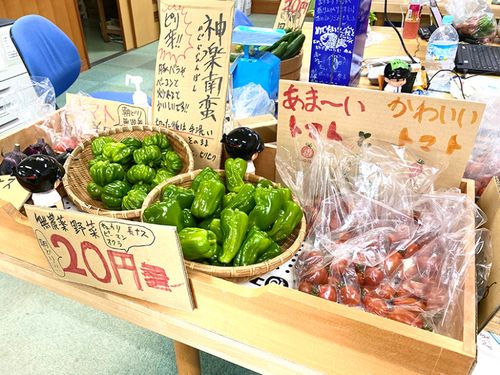 収穫した野菜を直売！手作り看板が良い味を出しています。