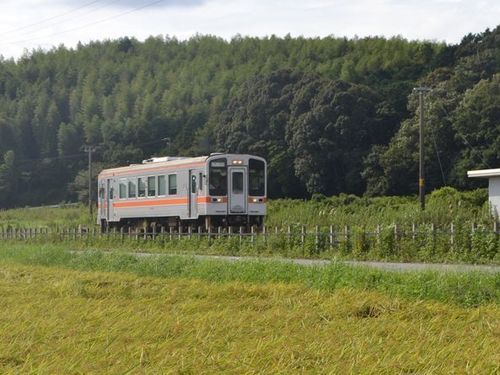 都会の雑踏はなく、豊富な自然でスローライフを満喫できます。