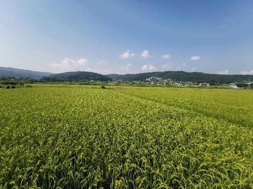 田園と山に囲まれた、毎日が絶景の生活
