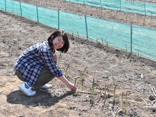 オーナー（嫁）はローカルに根ざした仕事を多数手がけ、常に人手不足！企業PR、商品開発、教育の分野で活動中。