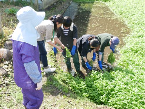 あなたも“ばばのぬか床”を体験してみませんか？
