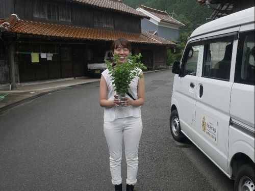 見島で活動中の長富隊員　島内でデザイン事務所【Atelier kalton】を開業しました。