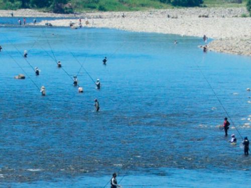 釣りに訪れる方は年間約6万人！サクラマスやアユが釣れます！
