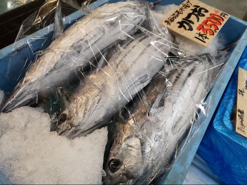 新鮮なカツオを仕事帰りに買ったり！
