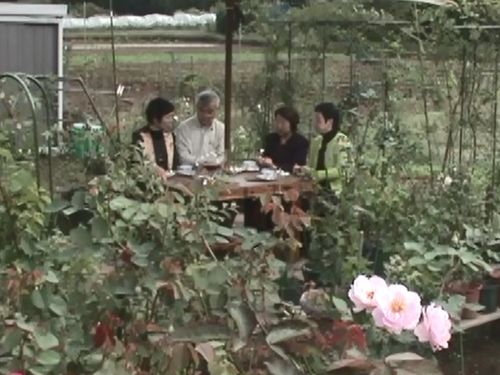 家庭菜園内で、お茶会中。