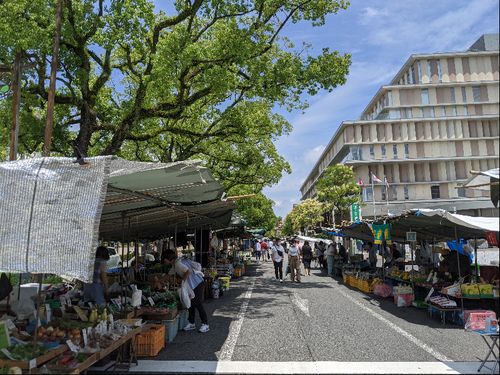 【高知市】日曜市とオーテピア図書館　来館者・貸出数全国１位！