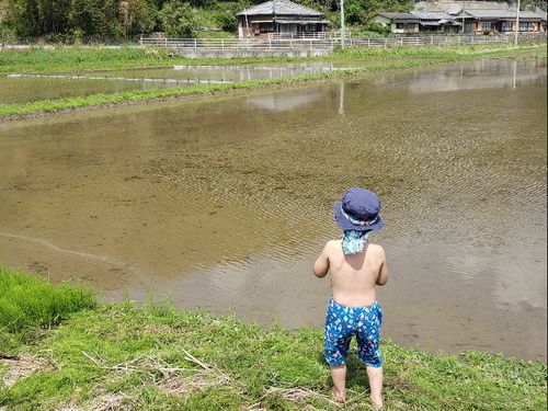泥んこになって子どもが遊べる場所を一緒につくりましょう！