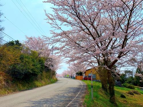 体験住宅周辺
