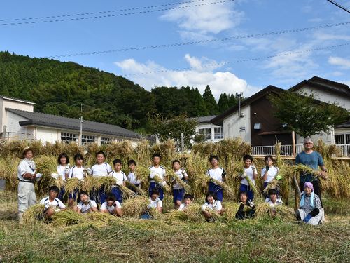 【教育活動】江府小学校児童による稲刈り体験学習