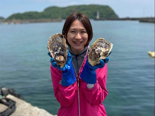 松江岩がきのブランド化
