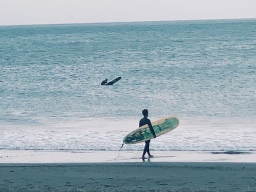 朝一サーフィンしてから仕事に行くのが湘南スタイル
