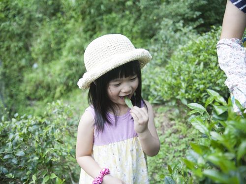 日常の温かさを切り取る