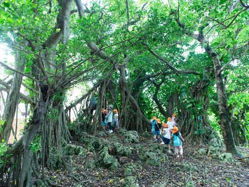 自然豊かな園の近隣へお散歩へ出かけることも