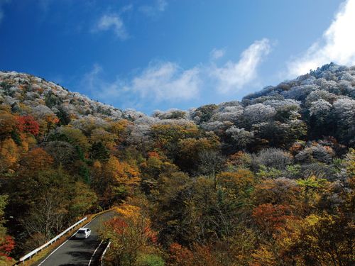 大台ヶ原の紅葉と樹氷。冬の企画も一緒に考えませんか？