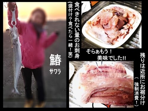 2020年ファーストフィッシュ！新年早々サワラGET！大量の身が取れました！