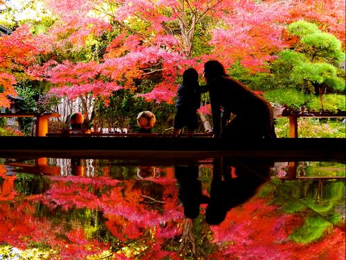 寿福寺の「逆さ紅葉」（佐世保観光コンベンション協会提供）