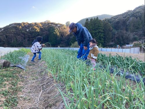 魚も野菜も、食べ物が新鮮でおいしいです。