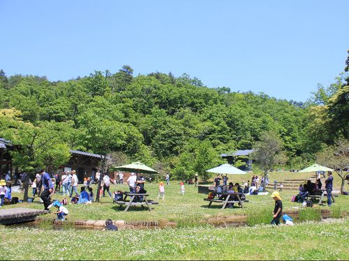 公園内では家族で楽しめるようなスペースもあります！