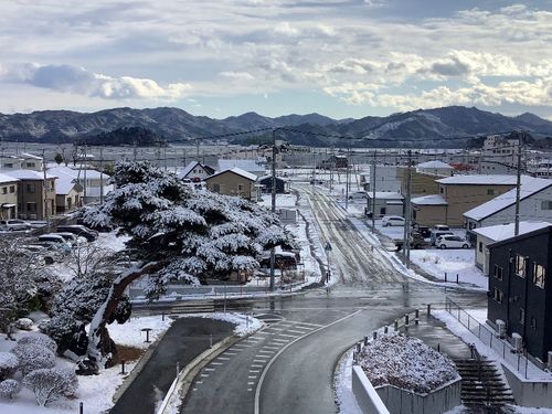 雪が降り積もった様子（2021年1月撮影）