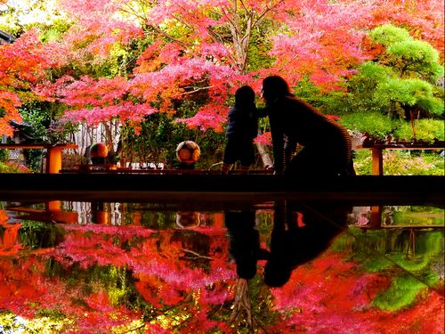 寿福寺の「逆さ紅葉」（佐世保観光コンベンション協会提供）