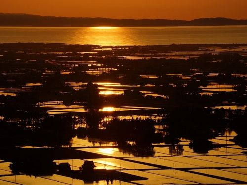 水田が輝く入善町の夕景