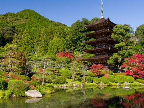 山口市