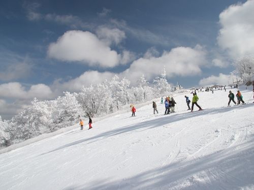 日本最南端の天然雪スキー場「五ヶ瀬ハイランドスキー場」