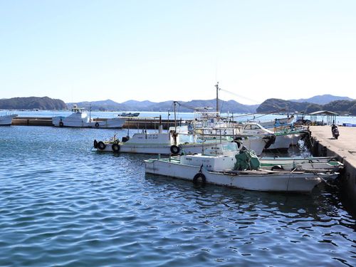 迫間浦イメージ