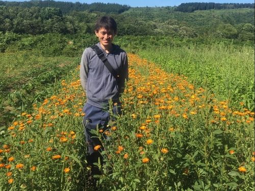 薬用植物の商品開発を進める隊員