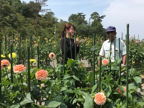 先輩協力隊員と共に、町を更に元気にしてくれる方を募集します！